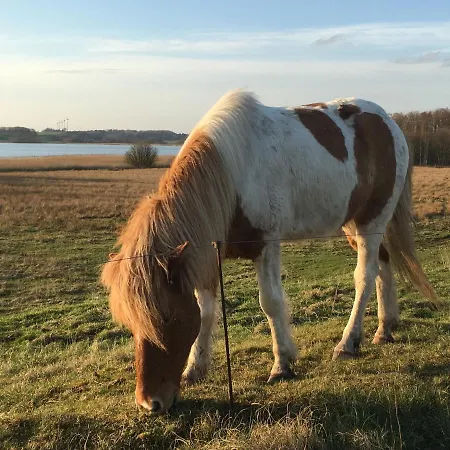 Lejlighed Traehusets - Ved Klejtrup Sø